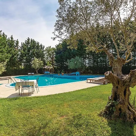 Beautiful In With Swimming Pool