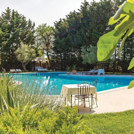 Beautiful In With Swimming Pool